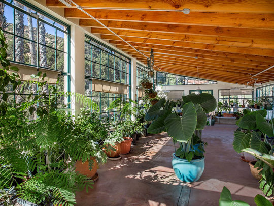 Woodpecker Ranch — grounds and estate, view 13