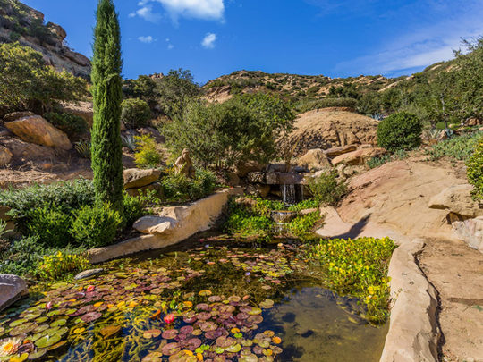 Woodpecker Ranch — grounds and estate, view 18