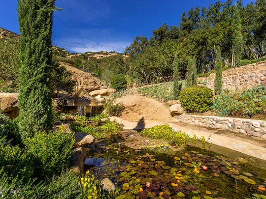Woodpecker Ranch — grounds and estate, view 21